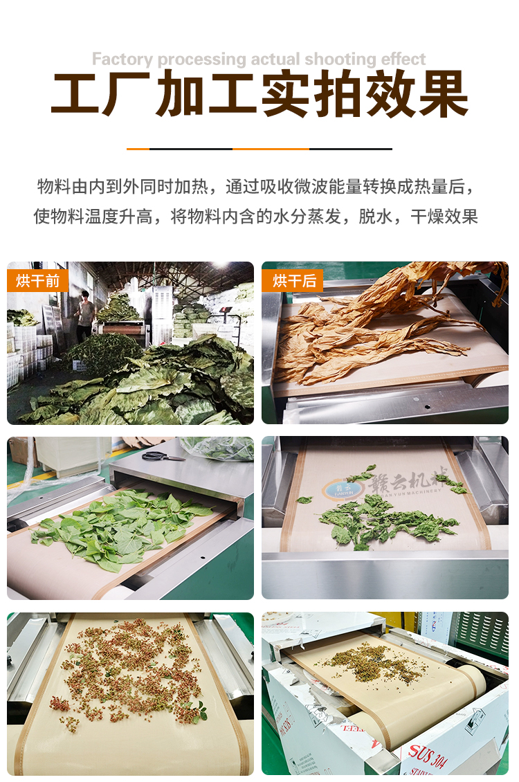 詳情_10.jpg